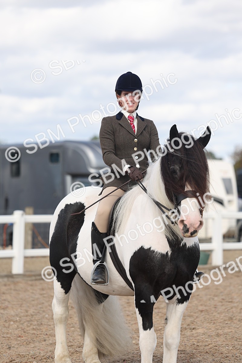 SBM_14804 - Class 308 - Ridden Coloured Horse