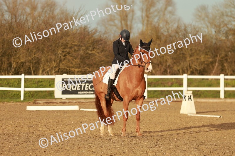 20260314-6464 - CT7 - Elementary 2