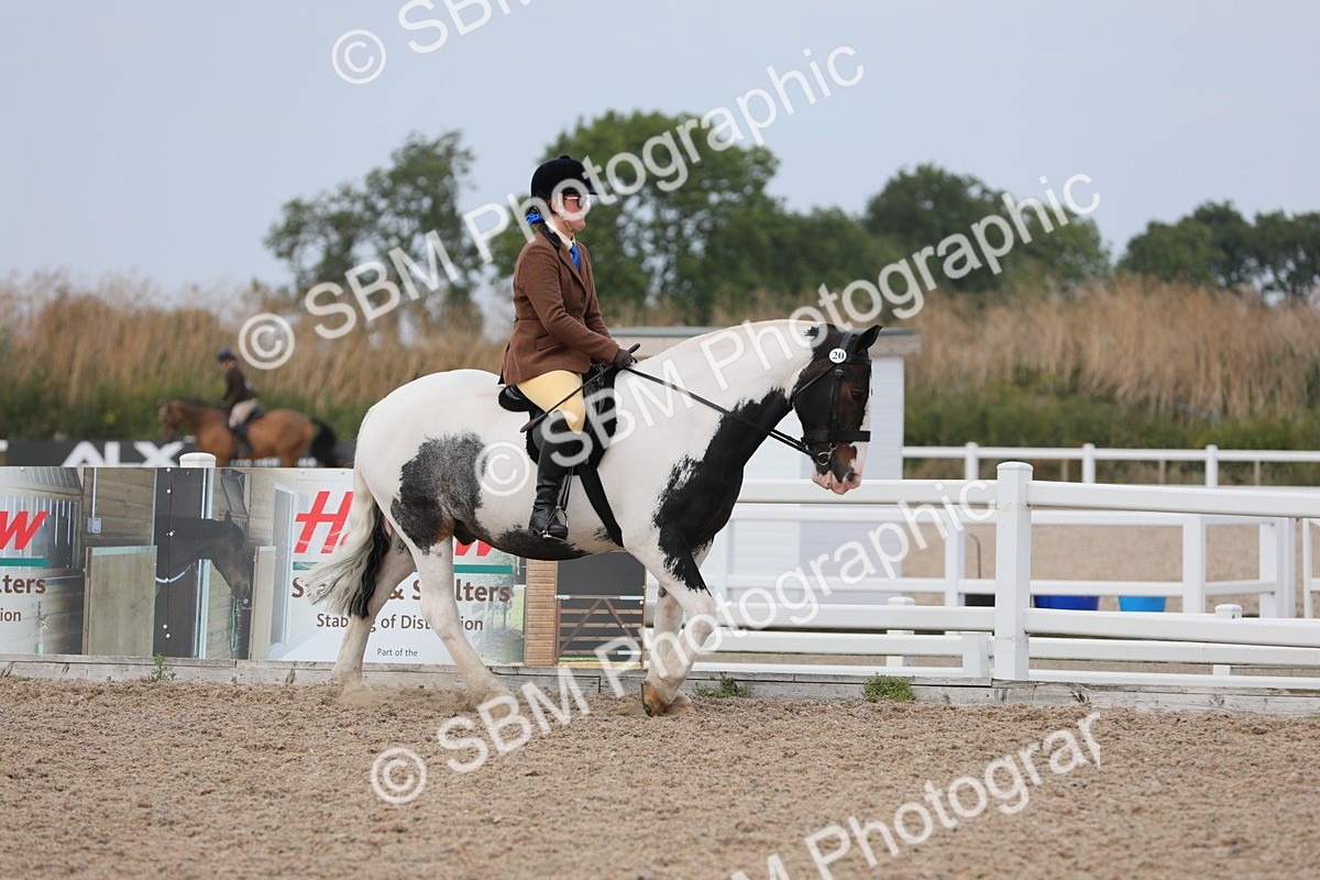 SBM_16847 - Class 314 Family Horse/Pony
