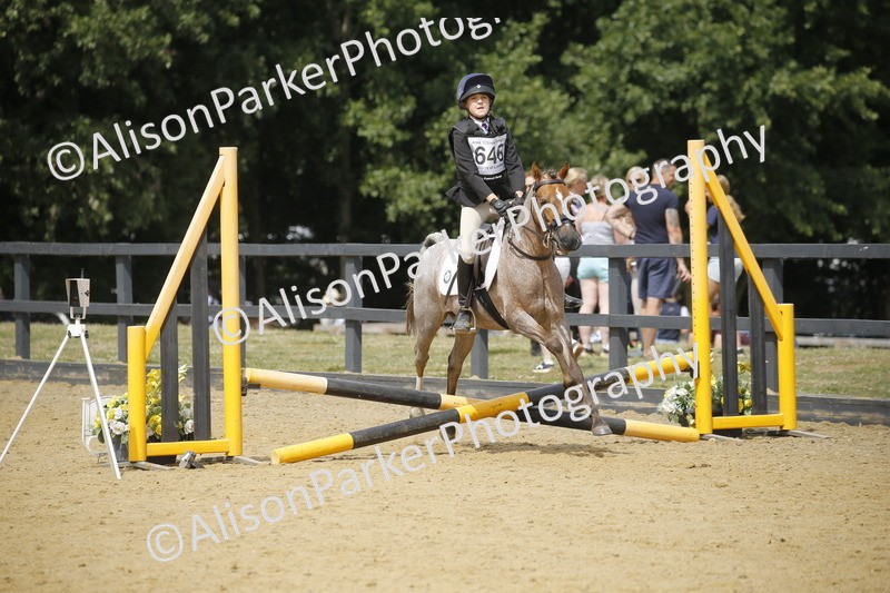 20250622-4137 - 50cm