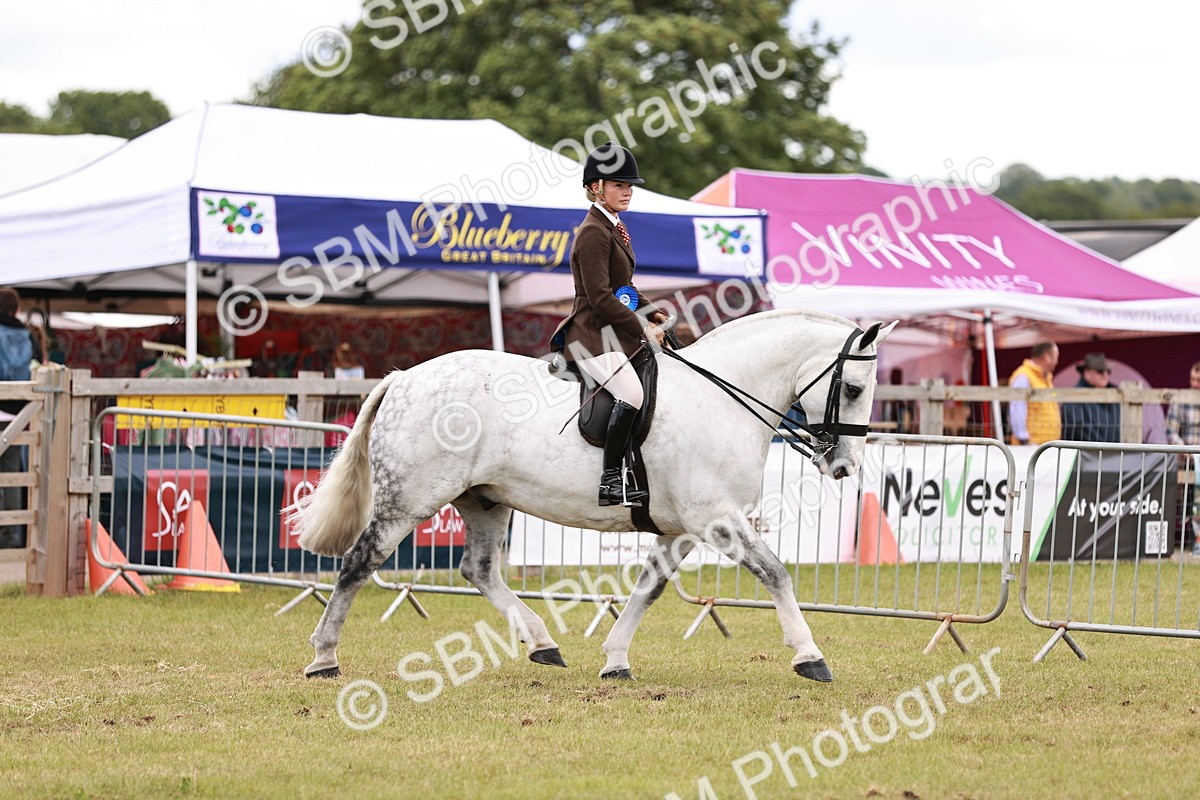 SBM_14087 - Class 85-87 - RIHS Cobs