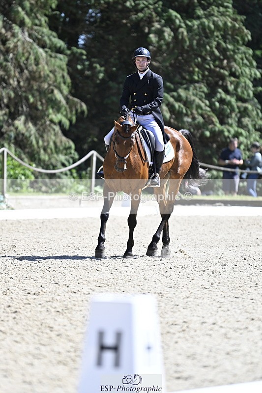 250522A-150819-03794 - D-414-Rupert.Batting-COOMBELAND.SEMILLY