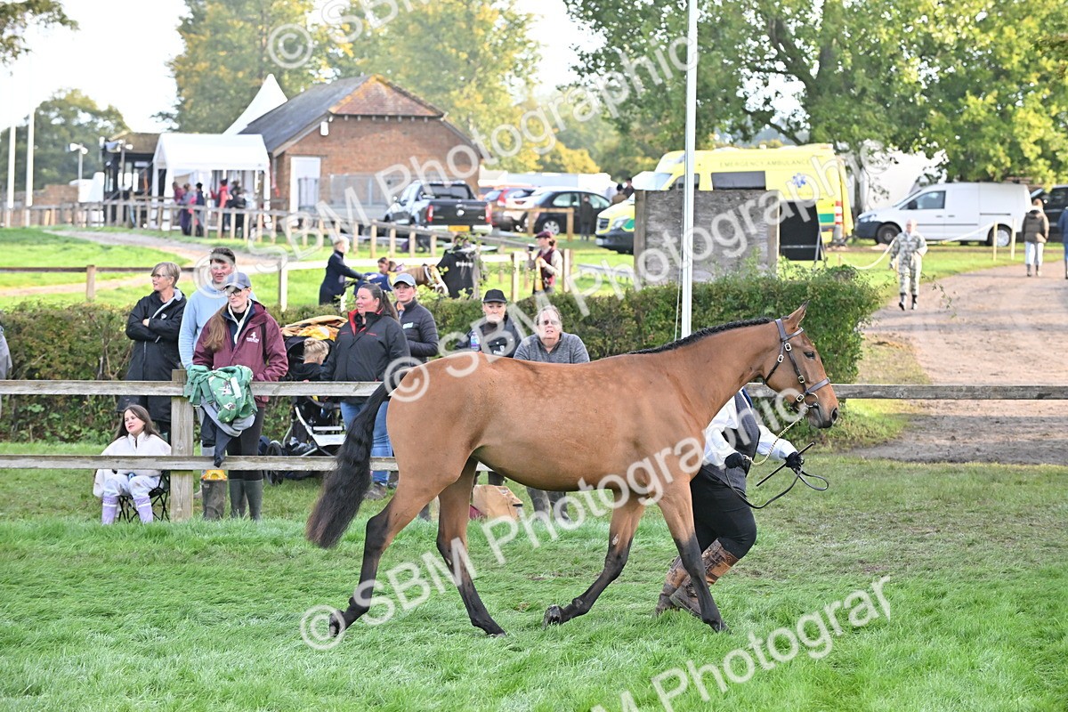 SBM_55297 - S44 - Youngstock In Hand
