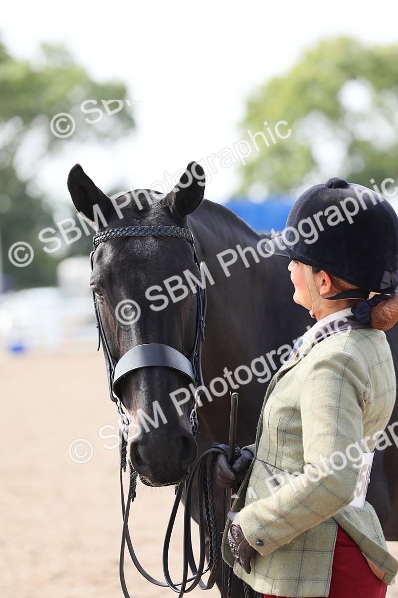 SBM_15746 - Class 312 IH Competition Horse/Pony