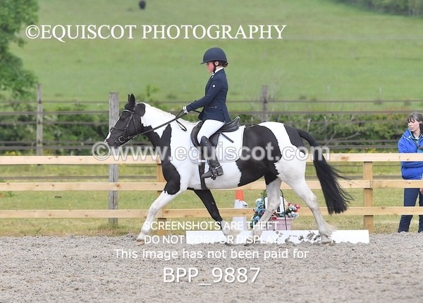 BPP_9887 - SHORT ARENA  MY QUEST PRELIM