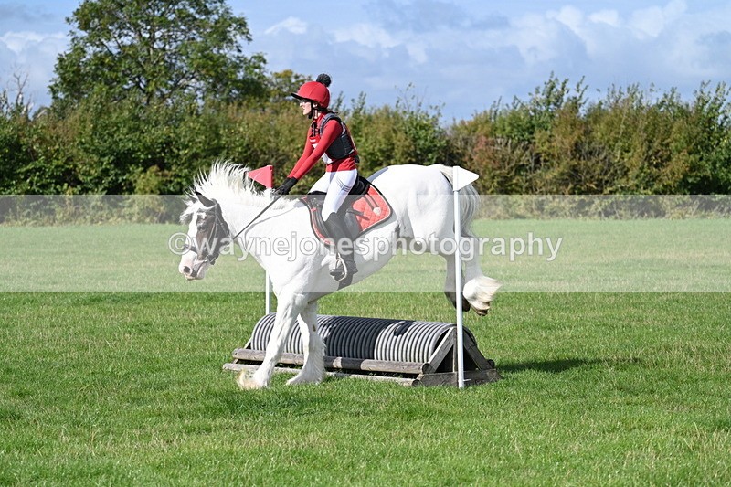 WJ7_8913 - Time 11:10 to 11:53