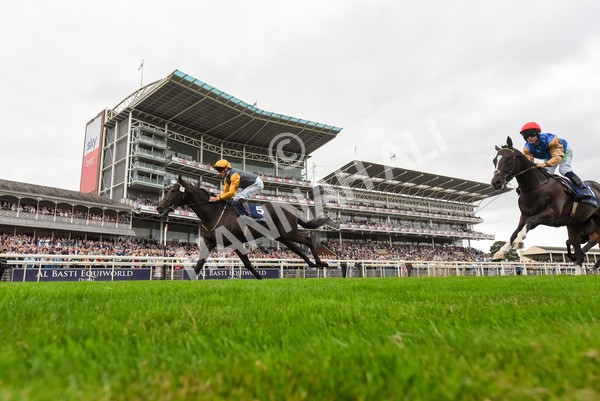 230823-Race 2-Indian Run-0927 - Race 2 2.25pm Tattersalls Acomb Stakes