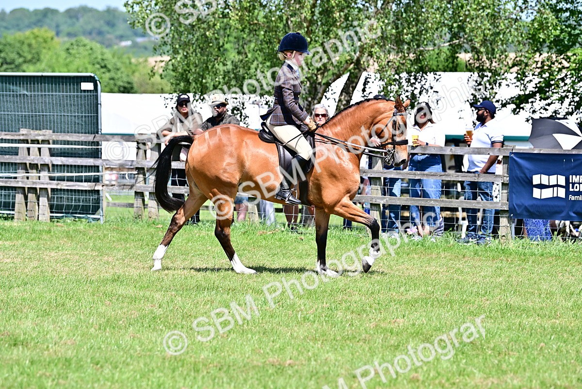 SBM_17397