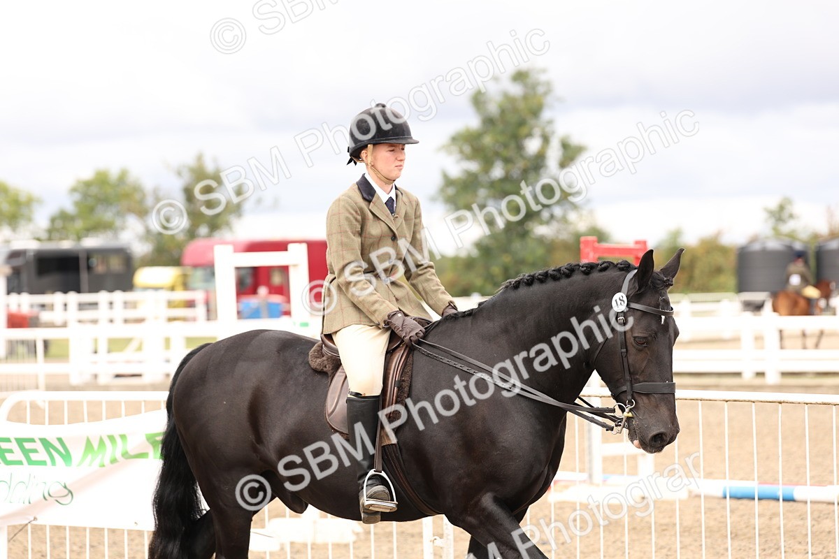 SBM_02784 - Class 53 - Ridden Competition Horse/Pony