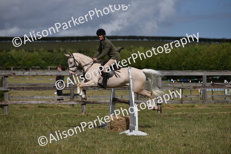 20250831-4079 - Class 13 - Working Hunter Horse or Pony