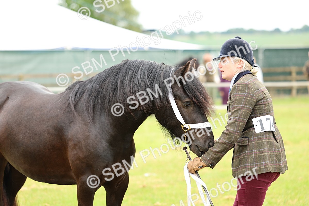 SBM_00423 - Class 58-67 - M&M Non Welsh Pony In hand