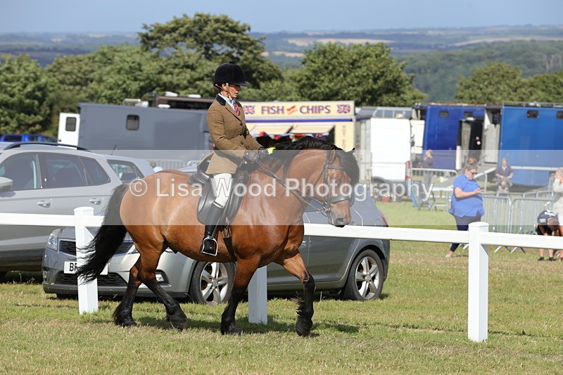 1X9A5950 - Class 42: NPS Dales, Fell, Highland