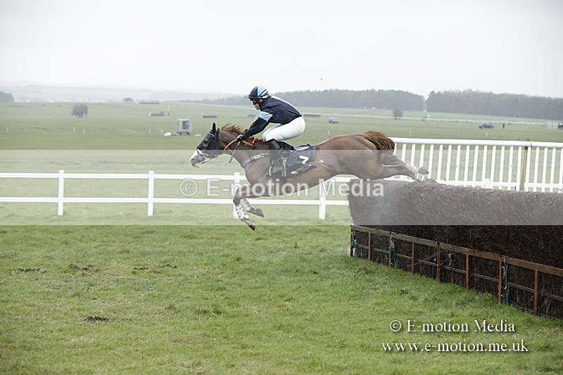 PtP 150320 0163 - New Forest Point-to-Point Larkhill 15/03/20
