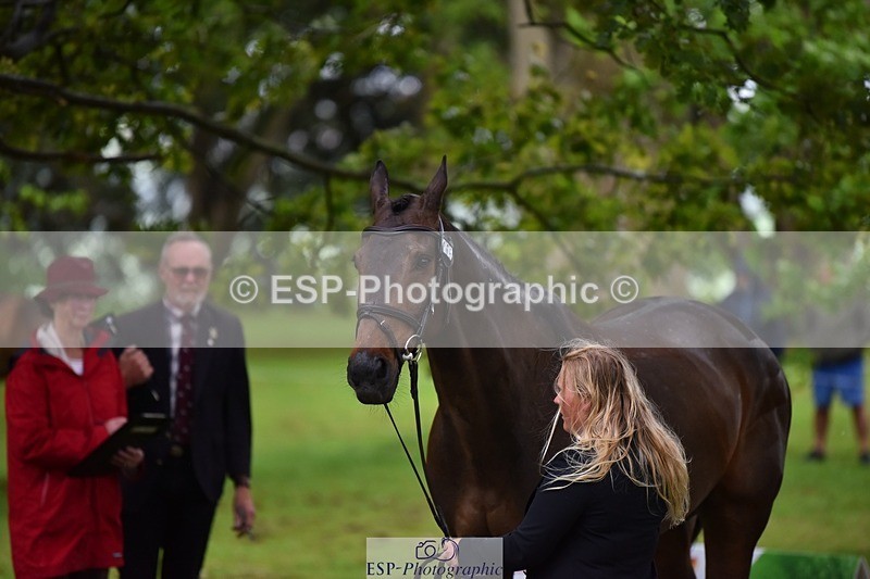 240522-155446-00579 - 165-RIDIRE_DORCHA-Lucy_Stimson