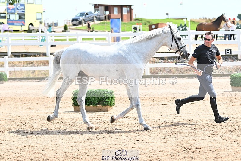 240717A-145412-02383 - Trot Up 2pm to 3pm - This folder is not in time order