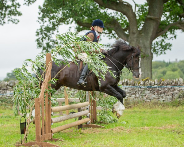 Dunblane show-381 - Dunblane and Doune Show Ring 1