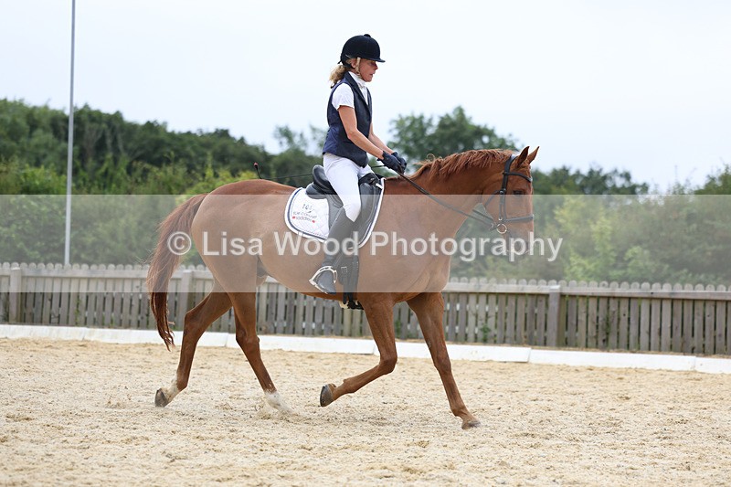 3E7A7464 - Class 9: Elementary 4 2024 - No sections