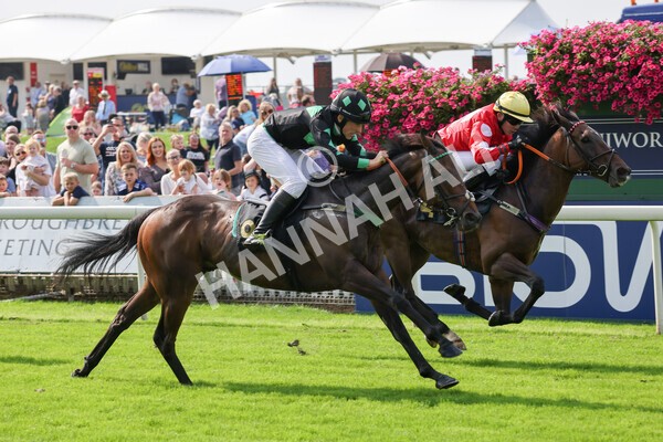 yr05092021rP-48 - Pony Races 138 and 148 cm