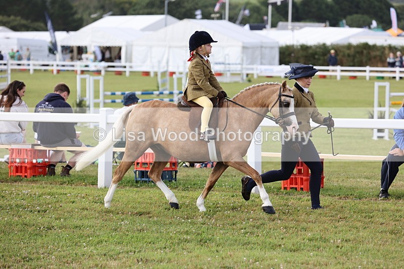 JPP_0205 - Class 14: Cornish Combination Leading Rein