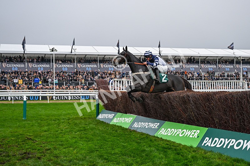 151125-Race 2-Jubilee Express-2884 - Race 2