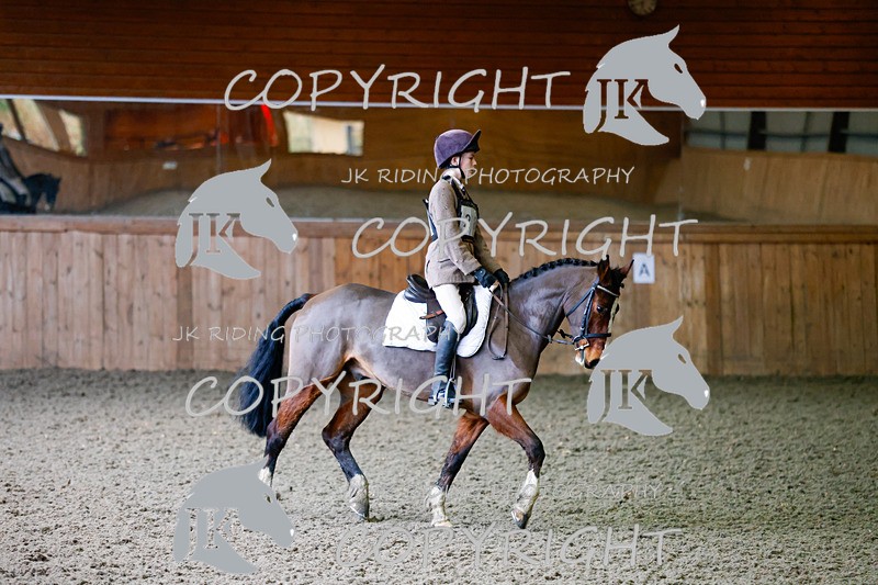 _R6A3072 - Class 4 Novice 2020