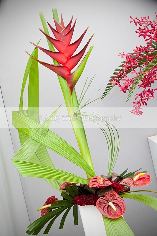 20100723_1749 - Miscellaneous Photographs