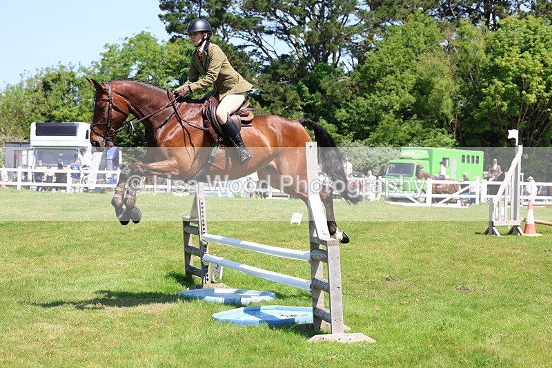 3E7A7088 - Class 30: Novice Working Hunter