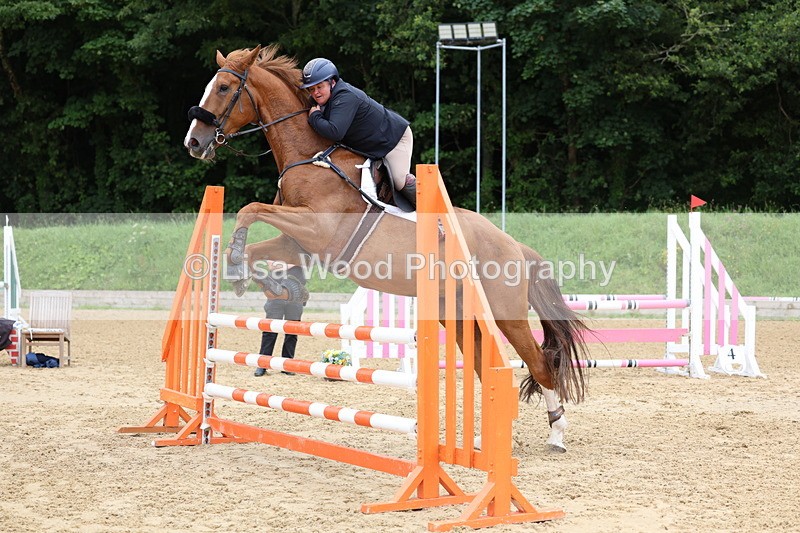 3E7A6150 - Class 4: Senior British Novice/90cm open