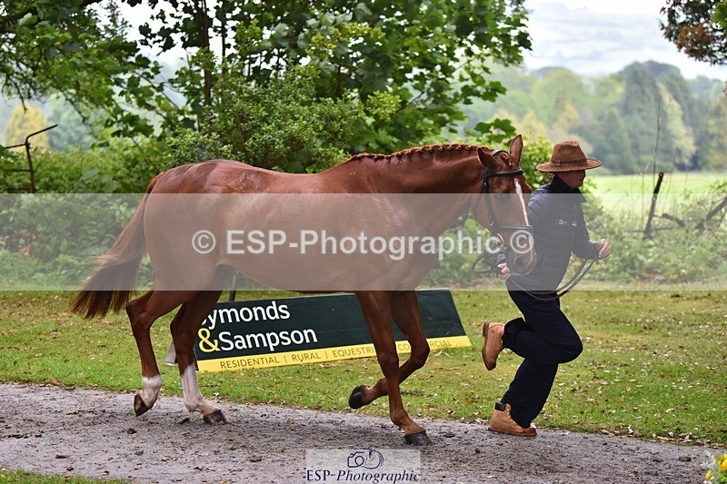 240522-164136-01088 - 216-I'M_A_WONDER-Rosie_Bradley-Hole