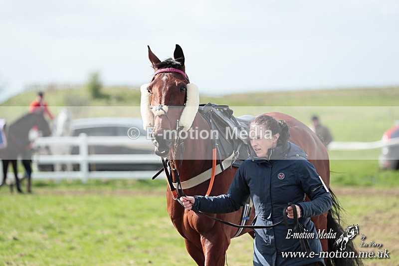 PtP 230324 327 - Tedworth Hunt PtP Larkhill Raccourse 23rd March 2024