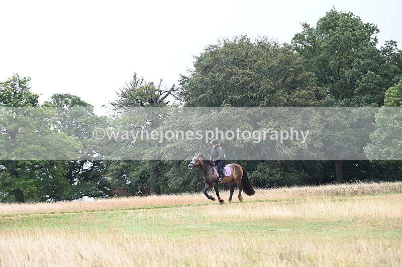 DSC_1884 - Time at Statue 12:13 to 12:32