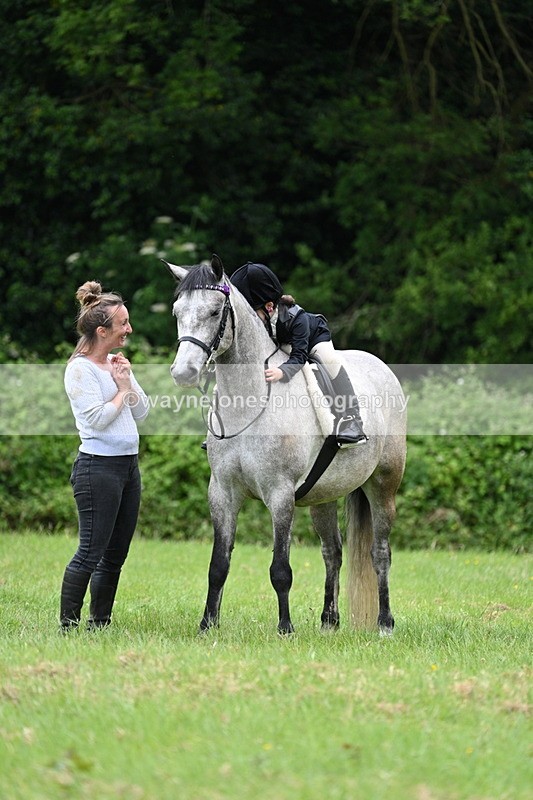 WJ7_4204 - Class 14A Handsome Gelding