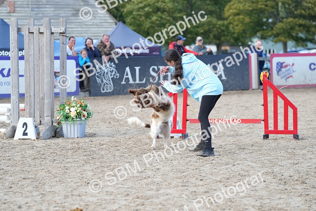 SBM_29159 - J43 - Horse & Hound Open 50cm