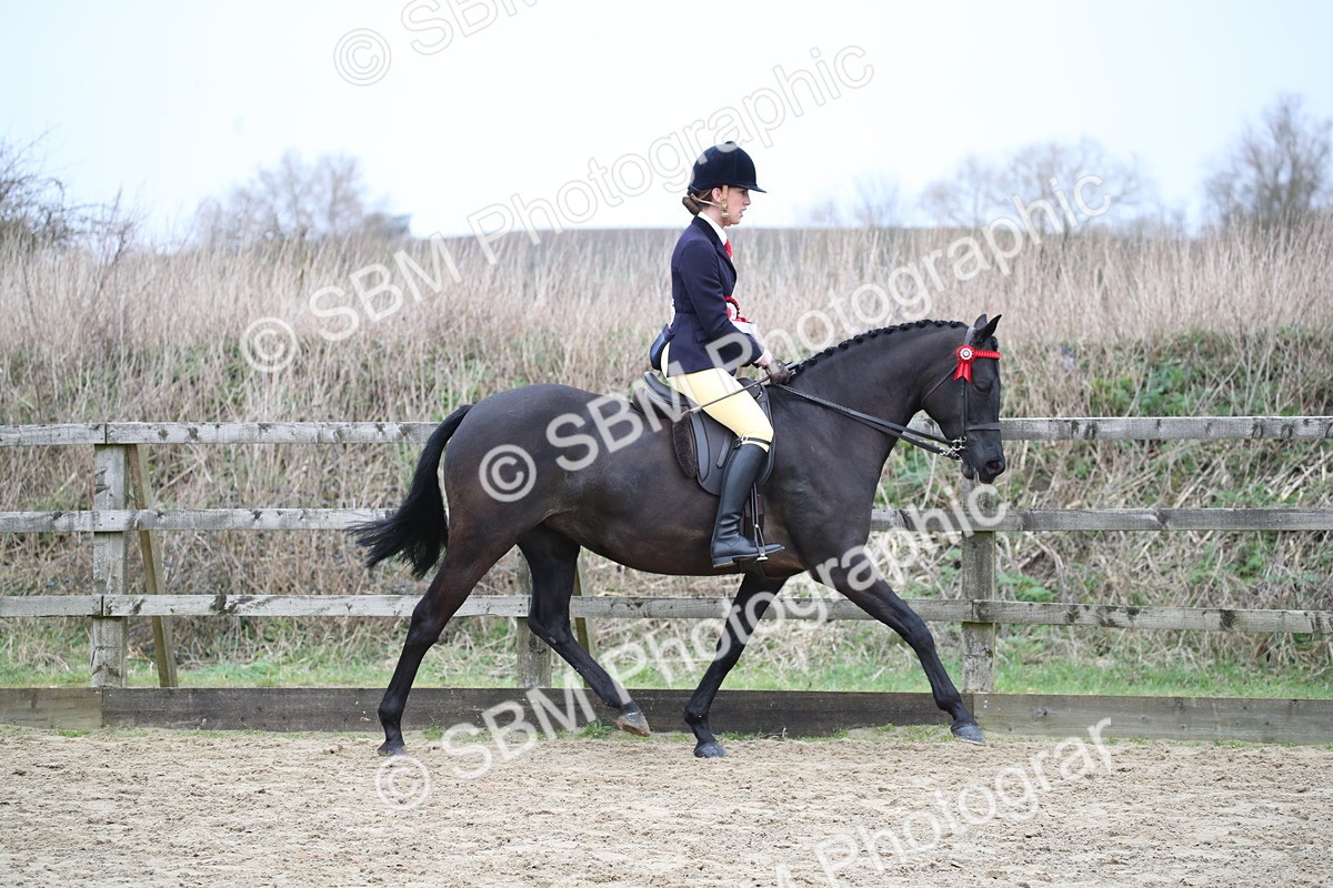 SBM_004724 - Class 5-9 - NPS In Hand-Show Hunter-Intermediate Ridden Inc Ridden Championship