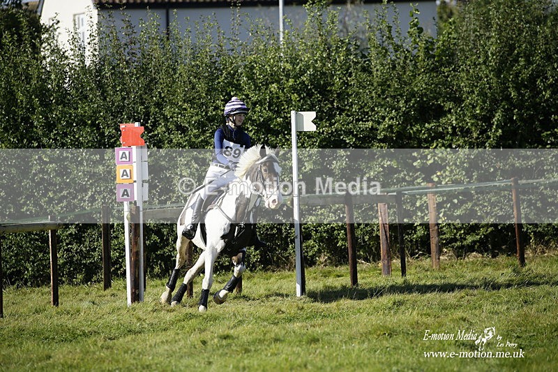  WWHT 031021 701 - WWEC Novice Restricted (0.80m) 18/10/20