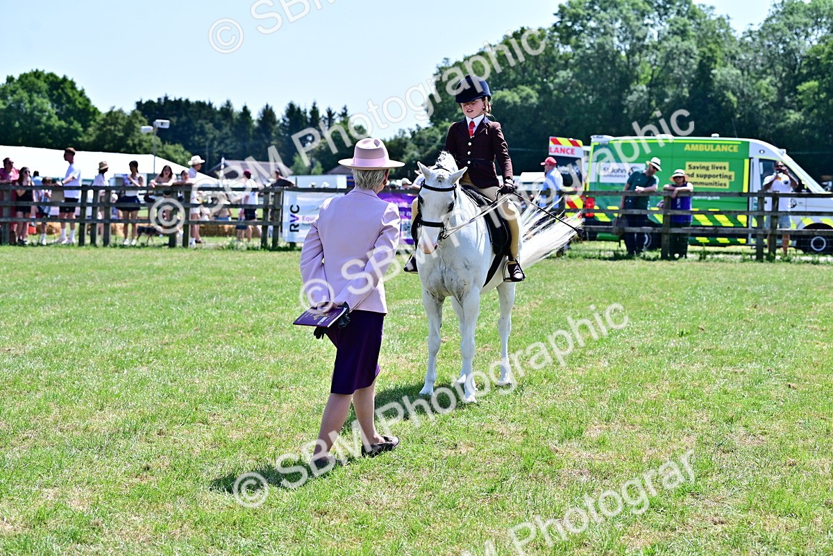 SBM_15297 - Class 95-97 - BSPS LHS Performance Ponies