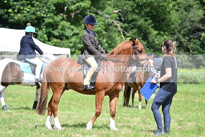 WJ7_1784 - Class 9 Pony Club Pony