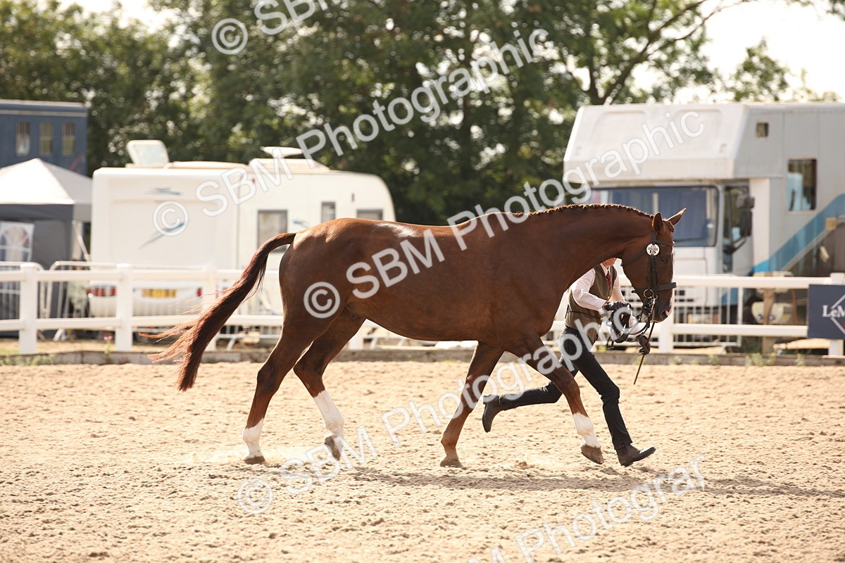 SBM_08182 - Class 27 - IH Competition Horse-Pony