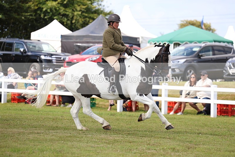 3E7A9708 - Class 5: Rising Star Lightweight/Heavyweight Cobs