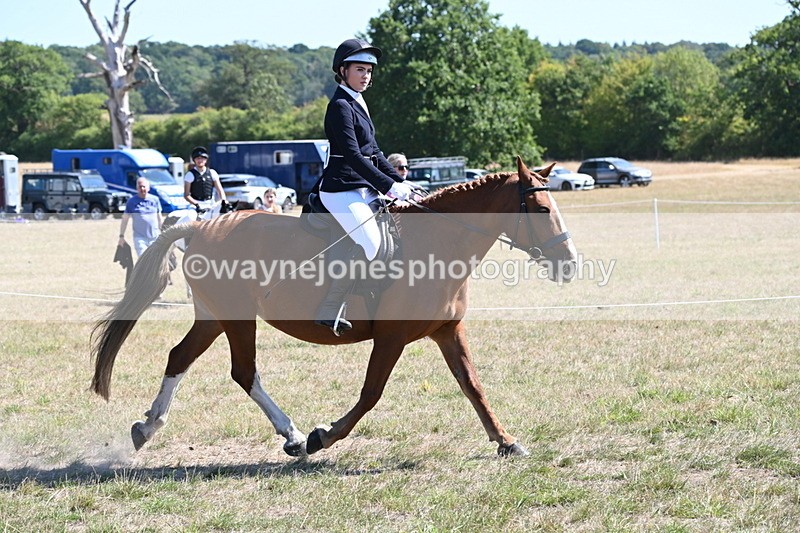 WJ6_8349 - Class 37a Best Loan Pony Ridden
