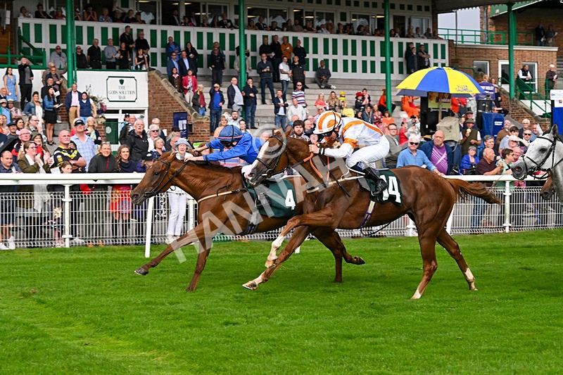 280824-Race 5-Hidden Pearl-4790 - Race 5