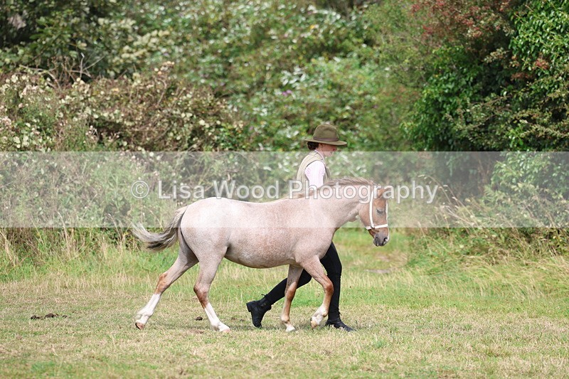 3E7A5337 - Class 19: Best Coloured in Hand