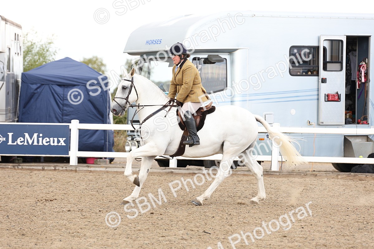 SBM_07499 - Class 59a -  Style & Performance - 80cm (15-19)