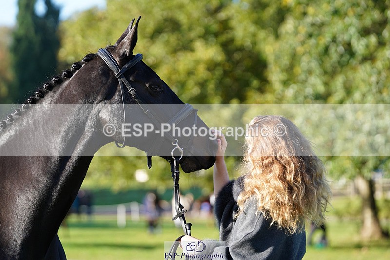 241026-100912-11650 - 002-Ellie.Fredericks-BRITANNIA'S.OLIVE