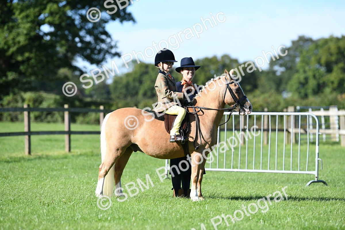 SBM_36822 - S18 - Novice & Newcomers Lead Rein Pony