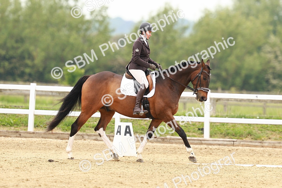 SBM_000971 - Class 6 - Novice 4