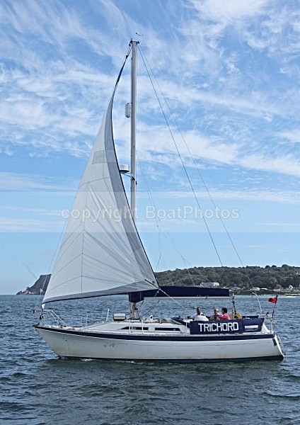 090831 TRICHORD IMG_4090 - Sailboats - monohull