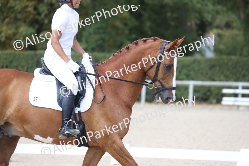 20260815-0971 - Class 5 - Novice 1