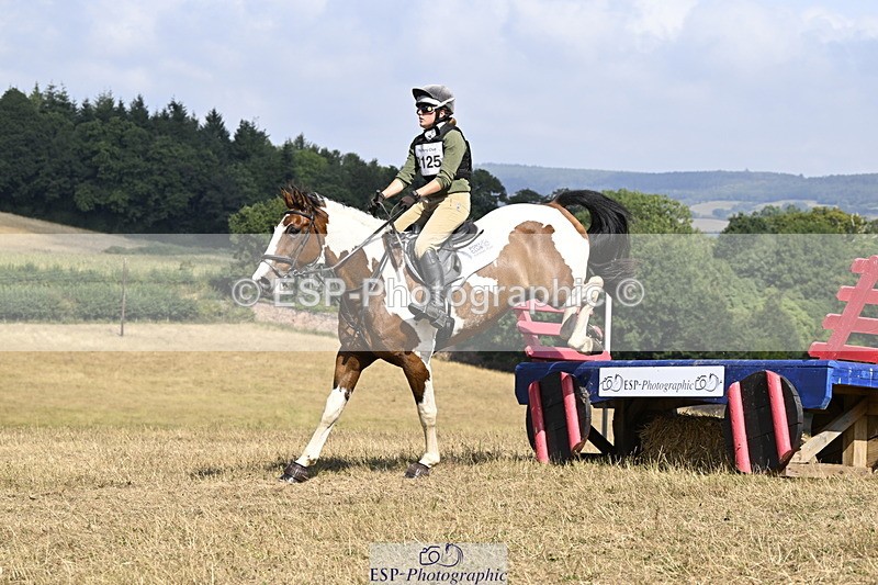 250824A-144022-38056 - 2125-Hen.Jeanes-Painted.proper