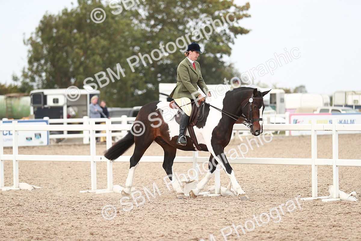 SBM_16649 - Class 214 Ridden Cob